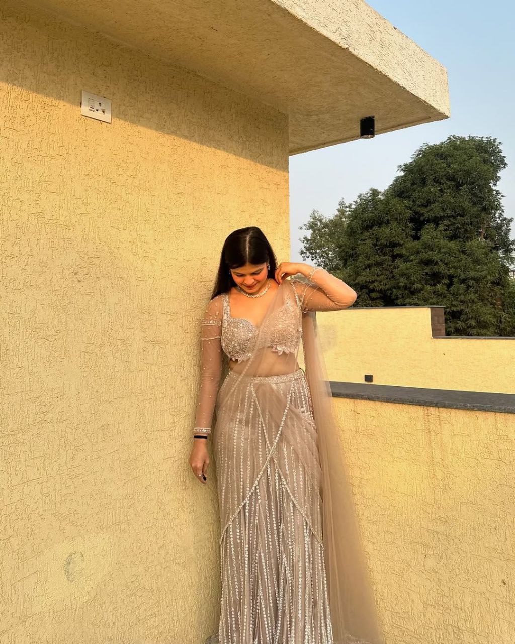 Silver Color Butterfly Net Beautiful Embroidered Lehenga Choli - Image 4