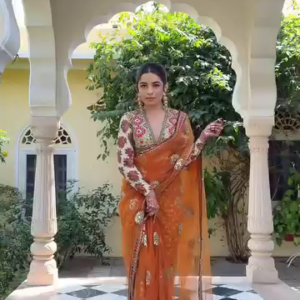 Orange Embroidered Net Saree with Sequin Blouse