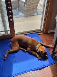 Cooling Gel Pet Mat for Dogs and Cats
